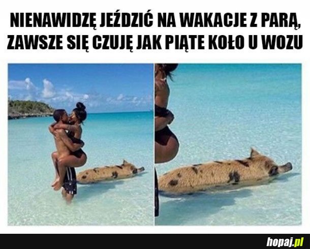 PIĄTE KOŁO U WOZU