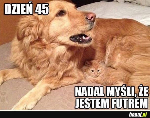 Nadal nie wiedzą
