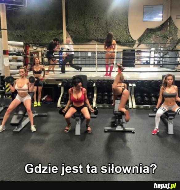 Gdzie ta siłownia?