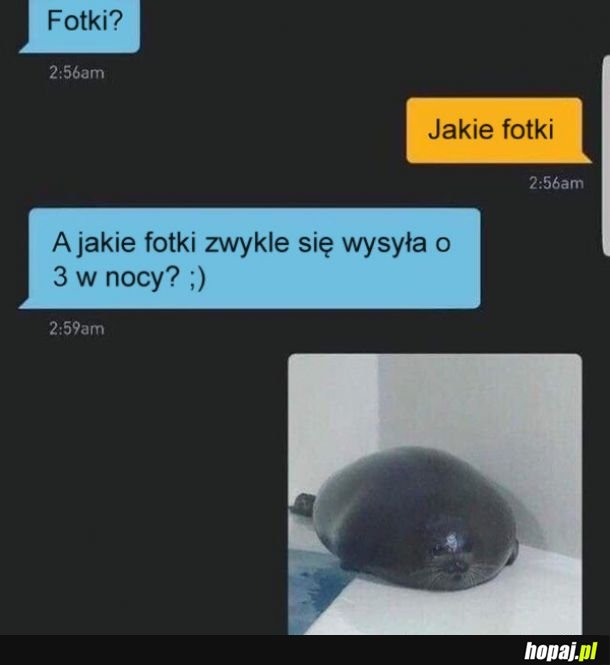 Fotki