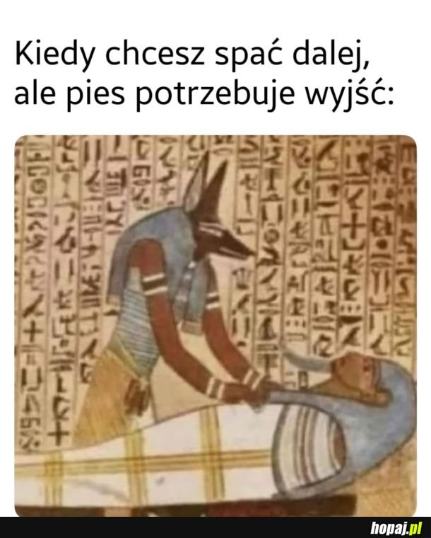 On nie wytrzyma tych &quot;5 min drzemki&quot;