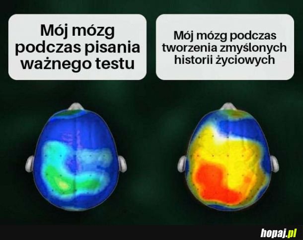 No dawaj, mózgu!