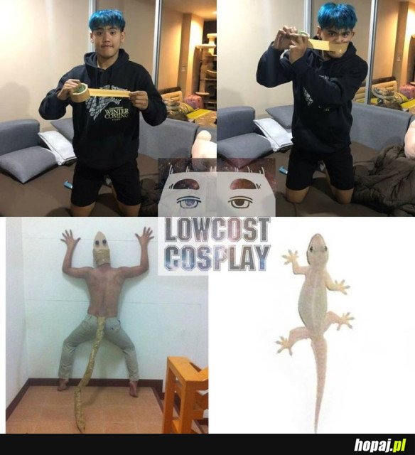 COSPLAY