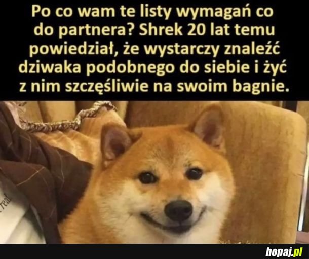 Shrek mial dom i ponad 180 cm wzrostu…