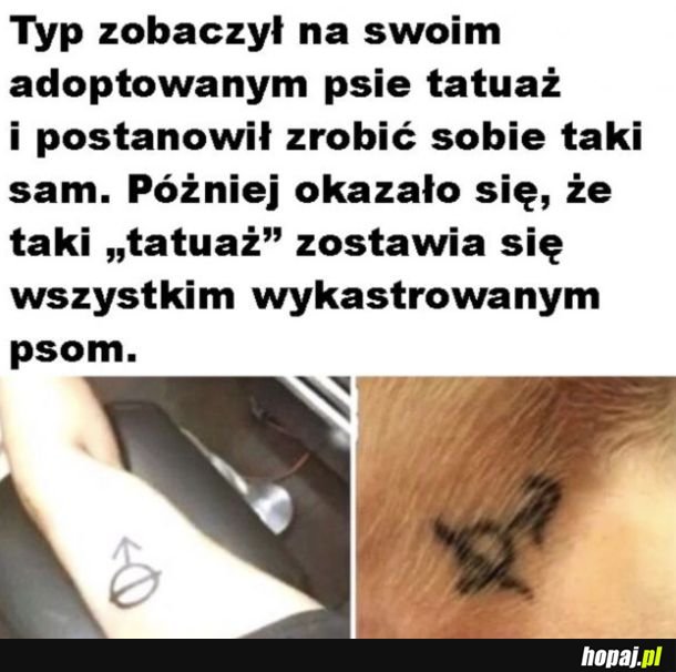 Ups