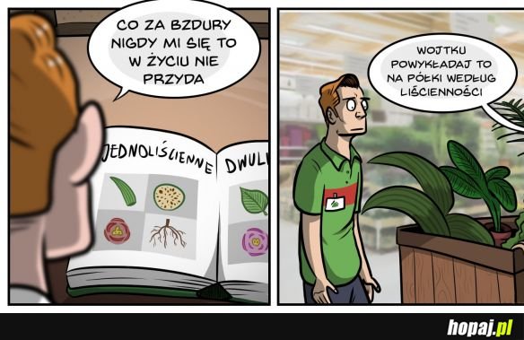 Moje życie w pigułce