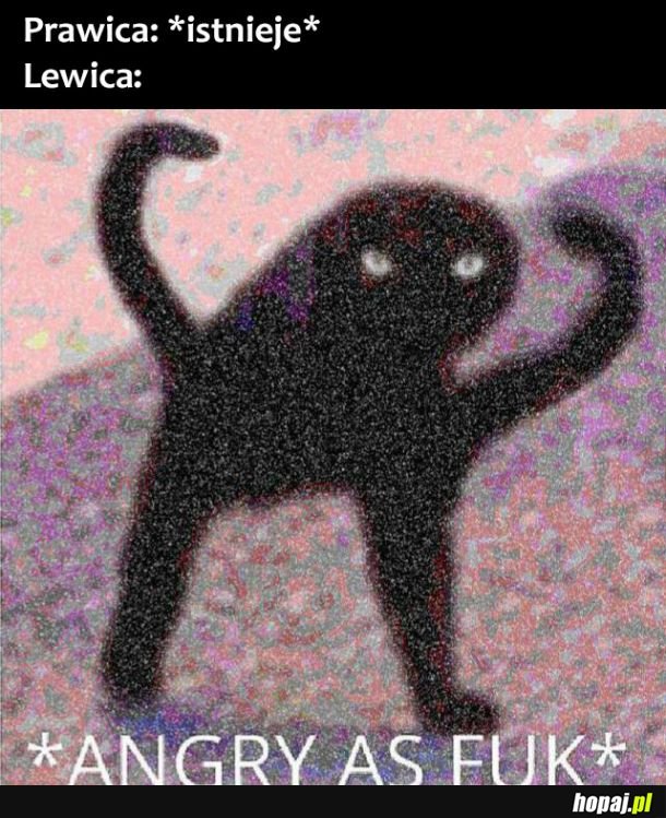 Prawica vs lewica 