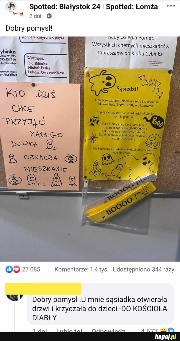 Niezła sąsiadka