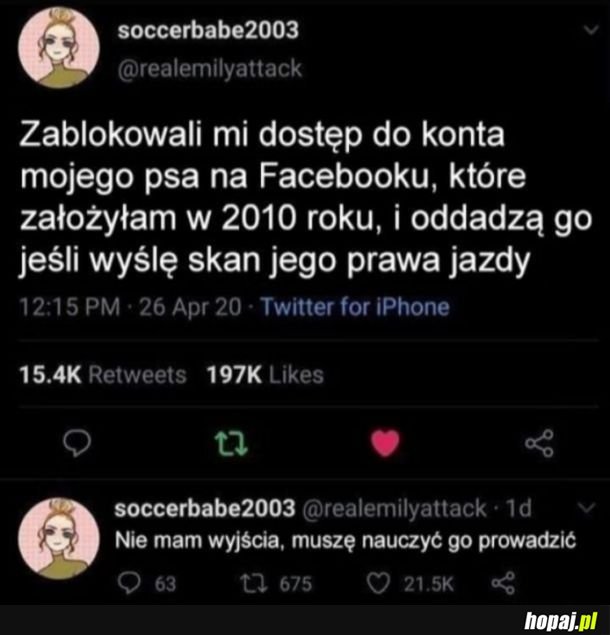 No cóż nie ma wyjścia