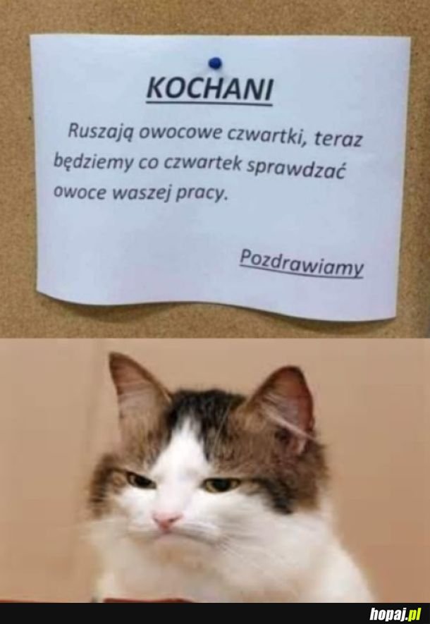 Wspaniałe czwartki