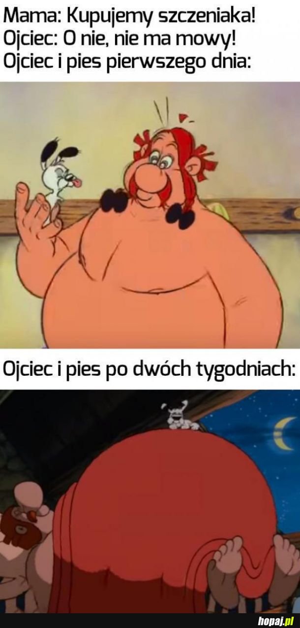  Ojciec i szczeniak