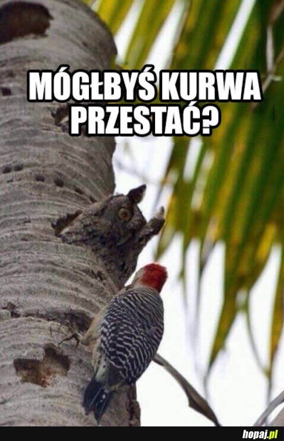 LUDZIE TU ŚPIĄ