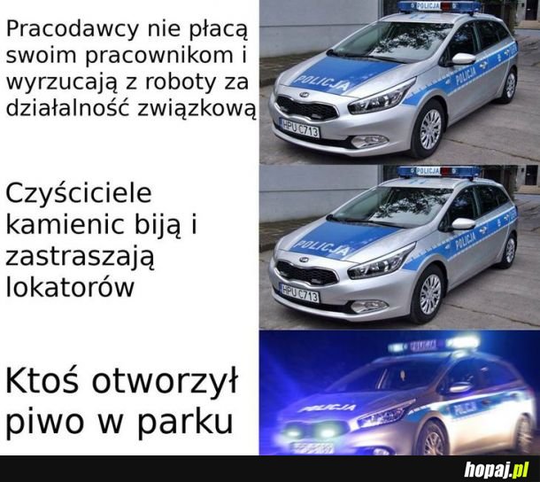 Typowa policja