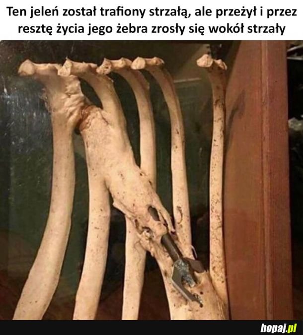 Szczęście w nieszczęściu