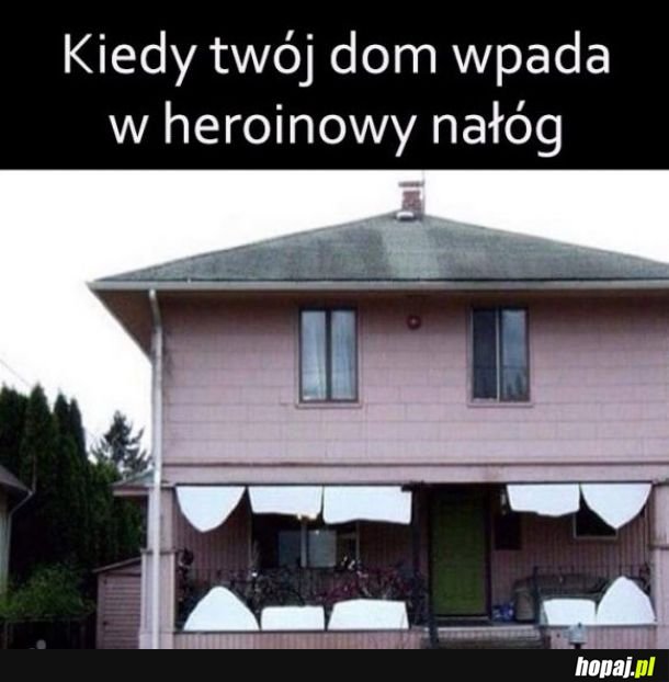 Narkoman jeden