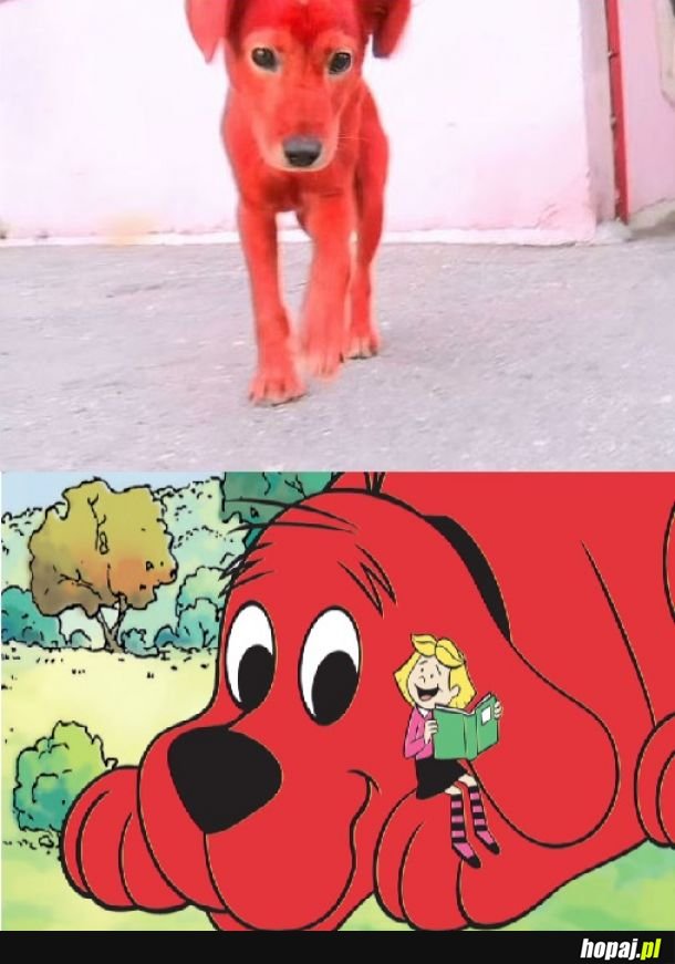 Clifford?