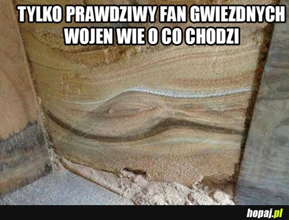 COŚ DLA FANÓW GWIEZDNYCH WOJEN