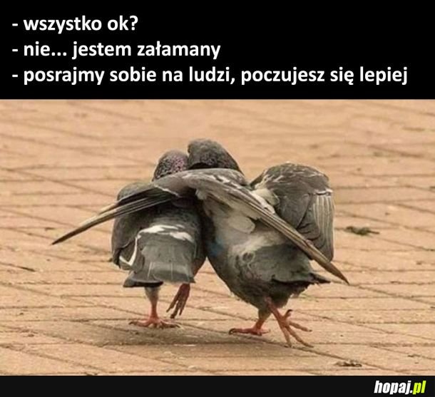 Pocieszenie