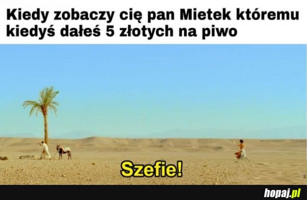 Pan Mietek