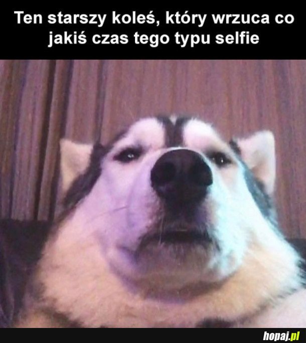 NA PEWNO WIDZIAŁEŚ TAKI PROFIL
