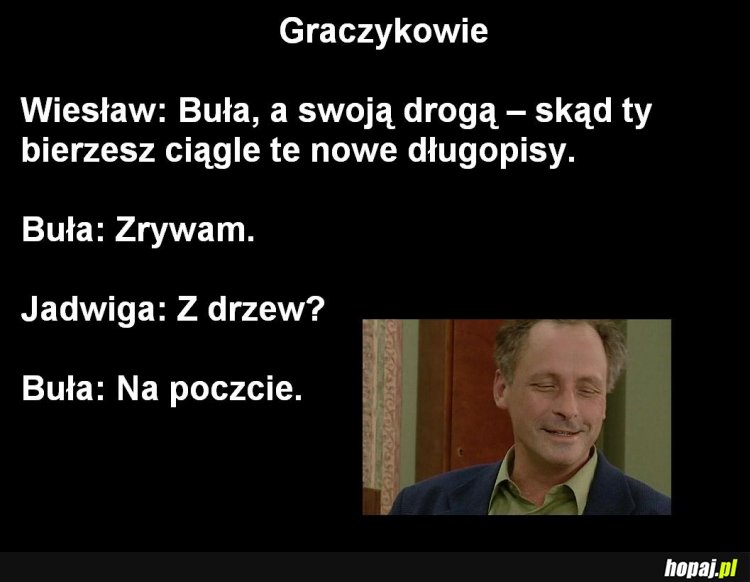 Długopisy na drzewach !