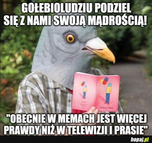 Taka mądrość z tych memów!