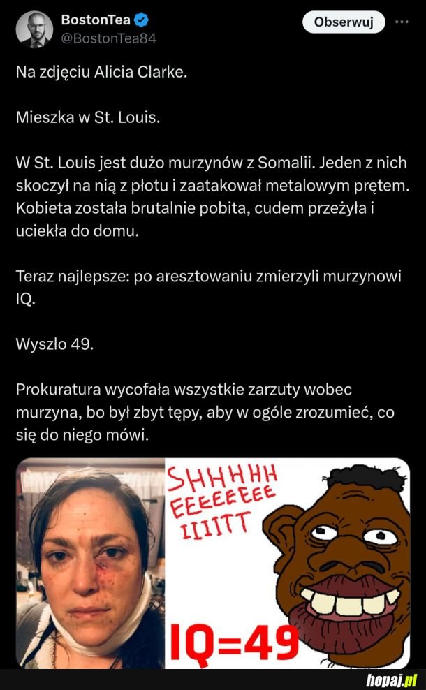 Zaginione ogniowo? Szympansy miewają więcej o.o