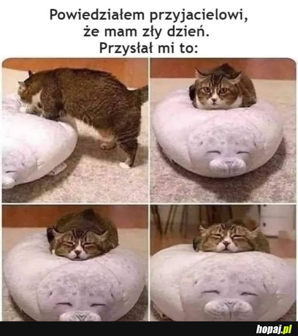 Od razu lepiej