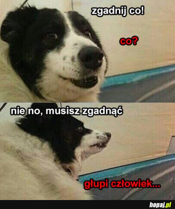 NIE CHCE MI SIĘ