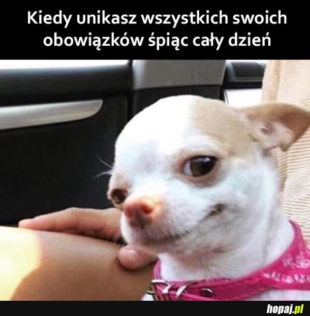 Najlepiej