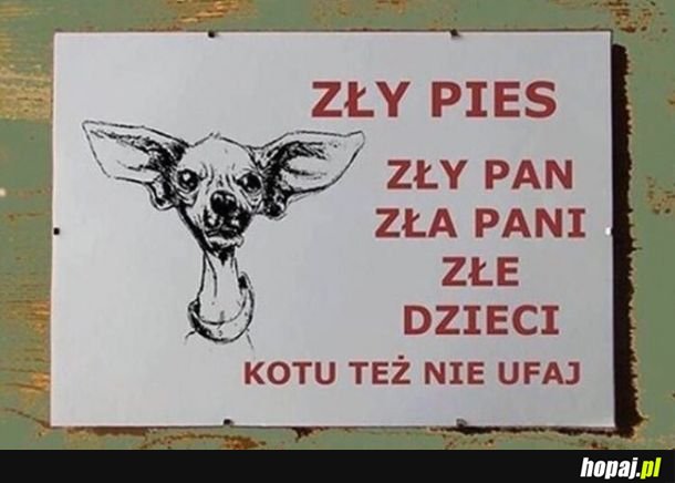 Jacy właściciele taki pies