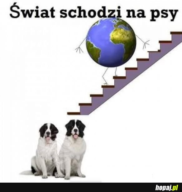 Co za świat