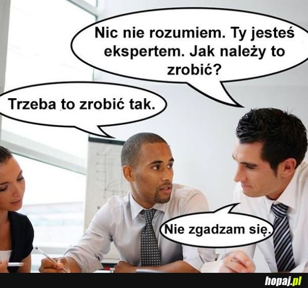 Wszędzie eksperci