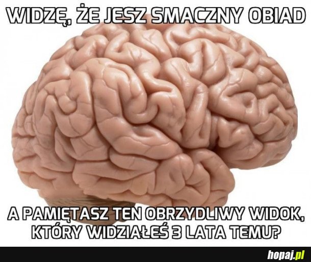 DZIĘKUJĘ, MÓZGU