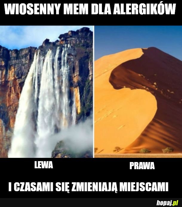 Noski noski ani lewa ani prawa 