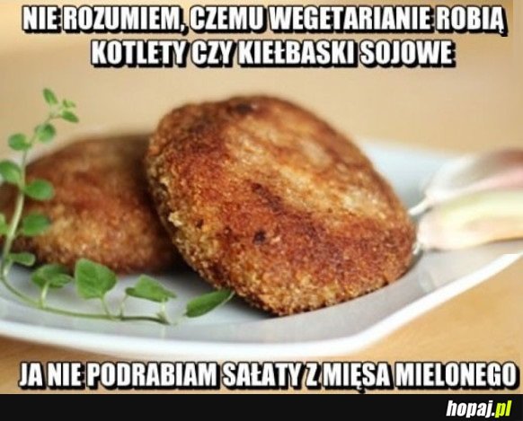 NIE ROZUMIEM WEGETARIAN