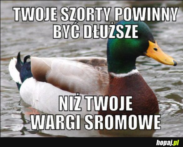 RADA NA LATO