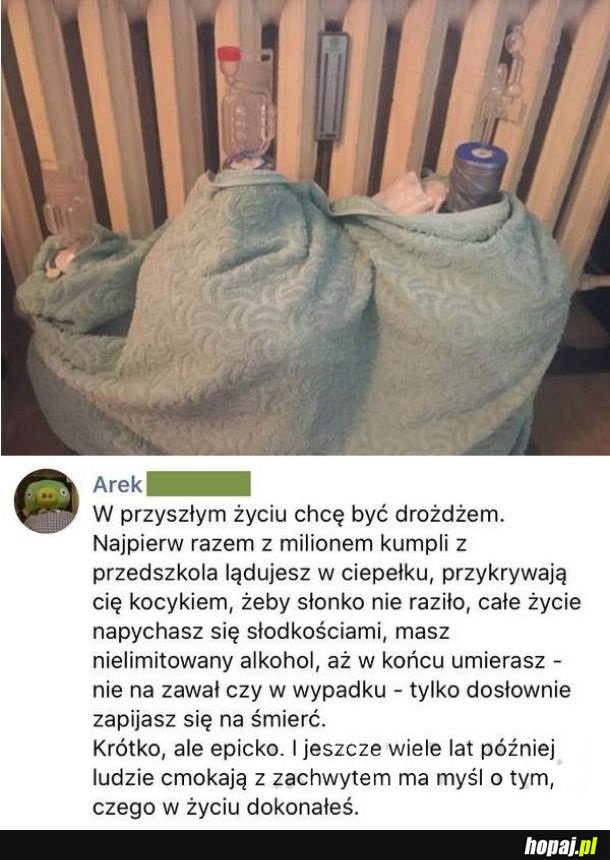 Przyszłe życie