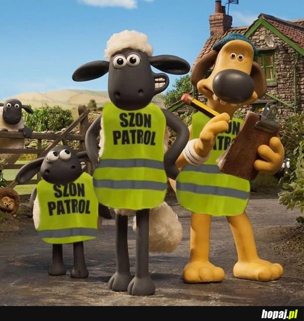 Szon patrol