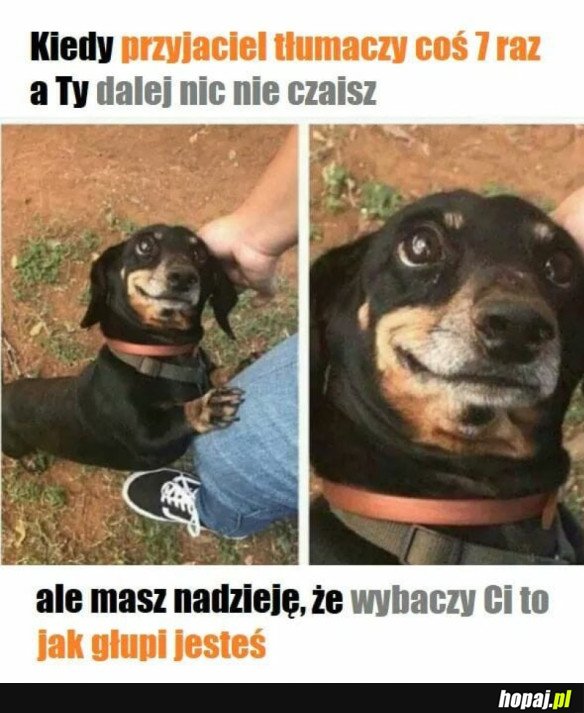 WYBACZCIE MI PROSZĘ