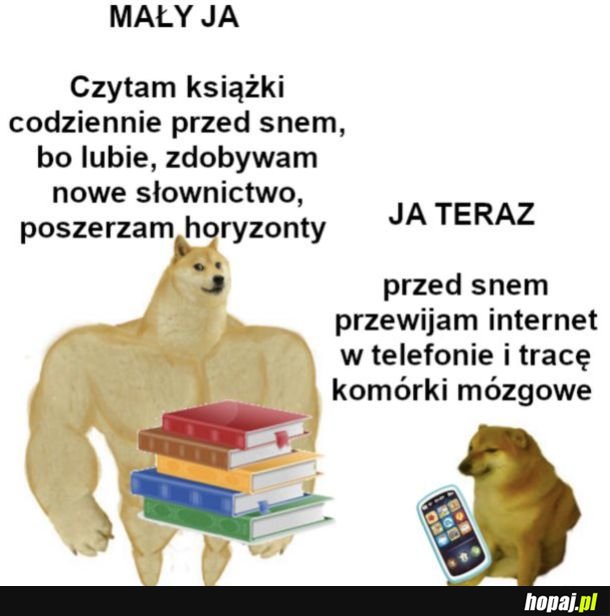 Społeczeństwo głupieje