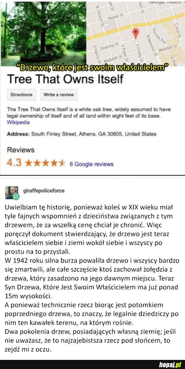 Piękna historia