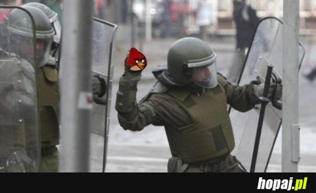 Angry Bird