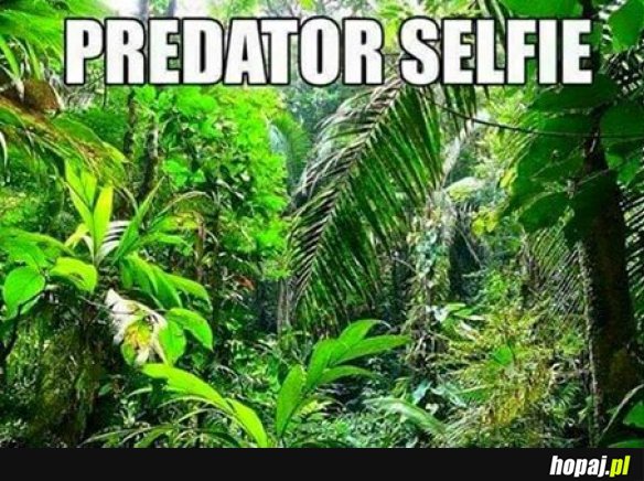 Predator selfie