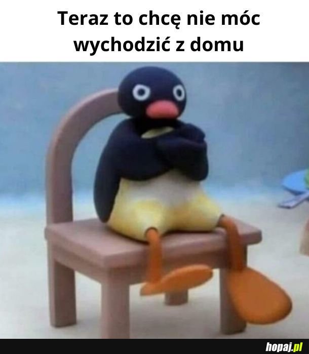 Zawsze tego chciałem