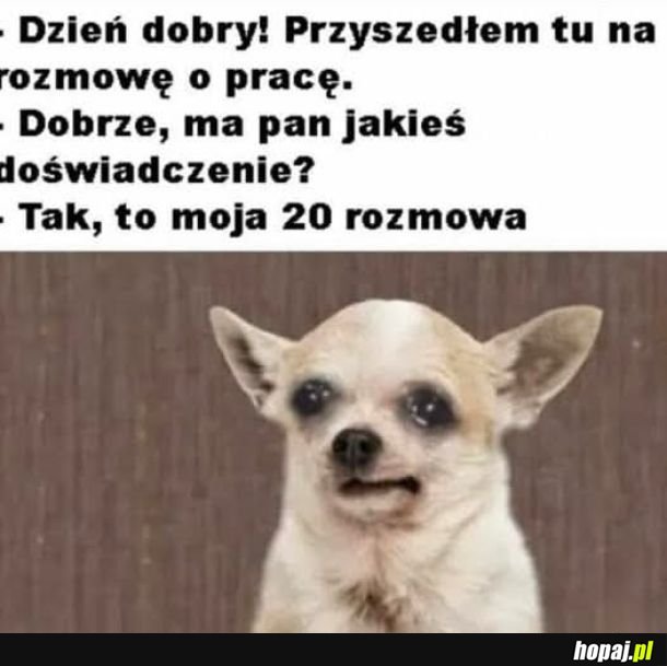 Doświadczenie