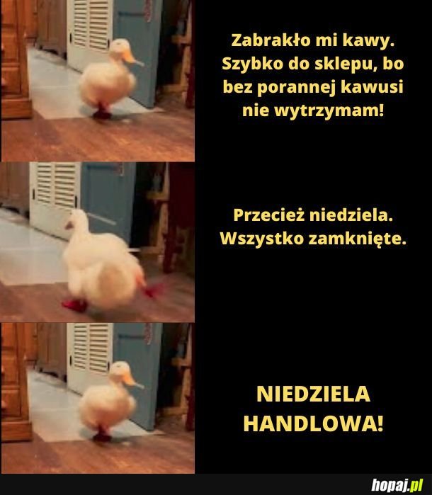 Niedziela. 