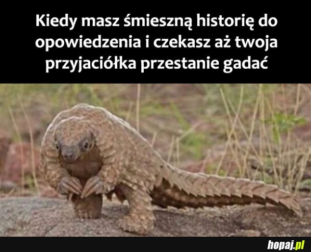 No cicho już, teraz ja 