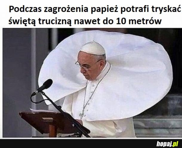 Papież