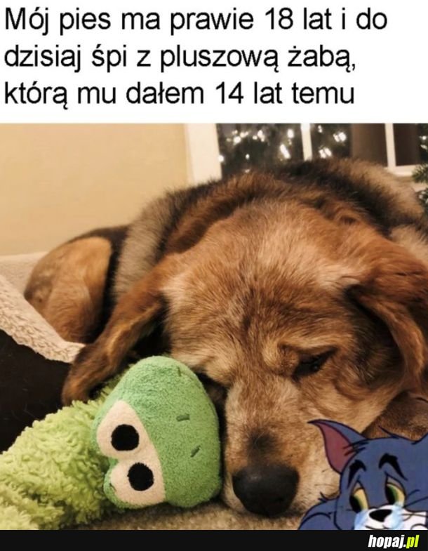 Wzrusz